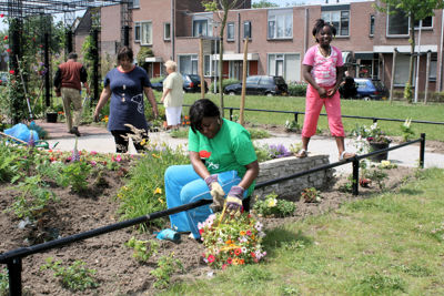 Foto 59 uit Tropische Tuin12_6