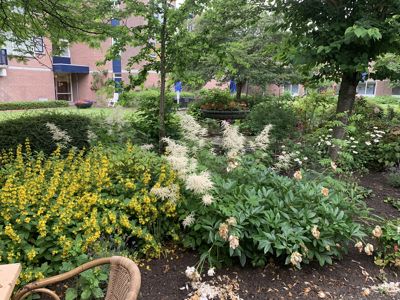 Foto 54 uit Bingo In IJsselburgh_3