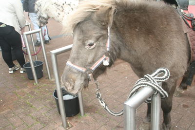 Foto 63 uit Halloween-28-10-17