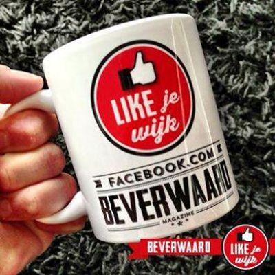 Foto 341 uit LIKEJEWIJK FOTO'S_2