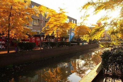 Foto 15 uit Herfst In Beverwaard