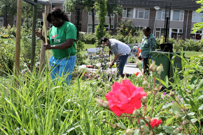 Foto 15 uit Tropische Tuin12_6