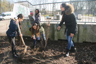 Foto 48 uit Boomplantdag16-3