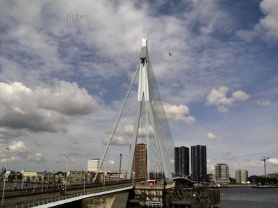 Foto 63 uit red bull air race r.dam