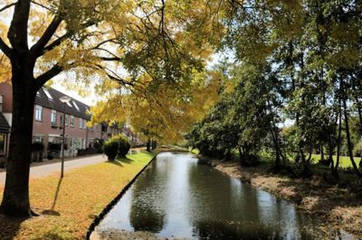 Foto 79 uit Herfst In Beverwaard