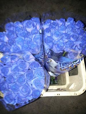 Foto 335 uit NeelyshaBloemen