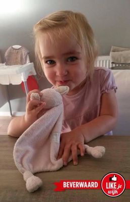 Foto 547 uit LIKEJEWIJK FOTO'S_2