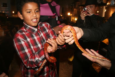 Foto 276 uit HaLLoWeeN29_10_11