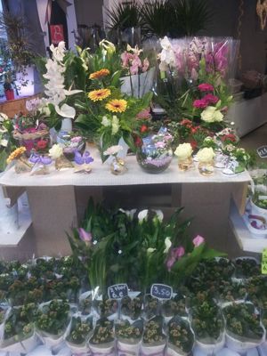 Foto 127 uit NeelyshaBloemen