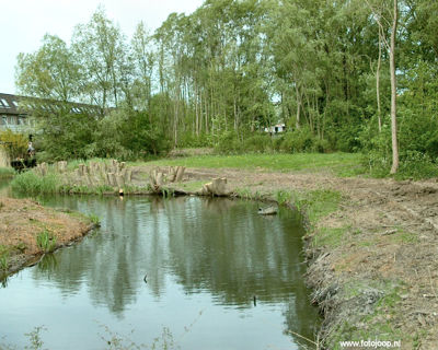 Foto 92 uit Foto's Beverwaard