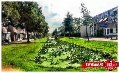 Foto 83 uit LIKEJEWIJK-2016