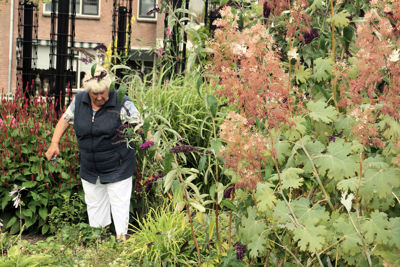 Foto 306 uit TropischeTuin 2017