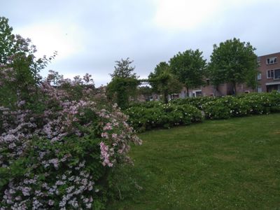 Foto 344 uit TropischeTuin 2017