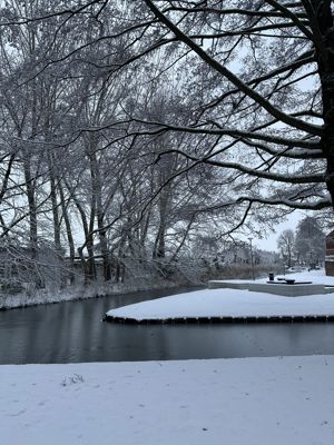 Foto 13 uit X- Sneeuw in de Beverwaard 2026