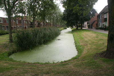 Foto 560 uit StratenBEVERWAARD