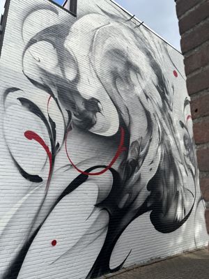 Foto 81 uit All Caps Muurschilderingen Beverwaard 2026