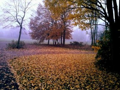 Foto 27 uit StratenBEVERWAARD