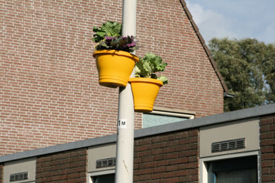 Foto 91 uit RkRegenboog15-10