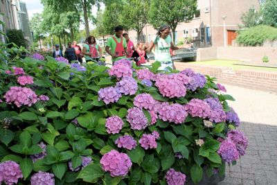 Foto 92 uit Keti-Koti 3_8_13