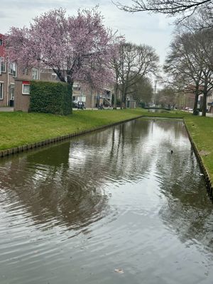 Foto 162 uit Rondje Beverwaard 2026