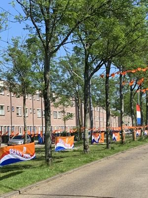 Foto 18 uit Oranje Beverwaard