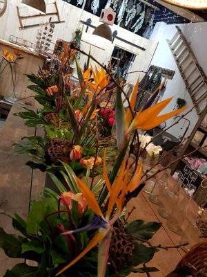 Foto 45 uit De Bloemenboetiek