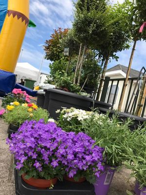 Foto 18 uit VrolijkSevenaerstraat