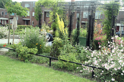 Foto 322 uit TropischeTuin 2017