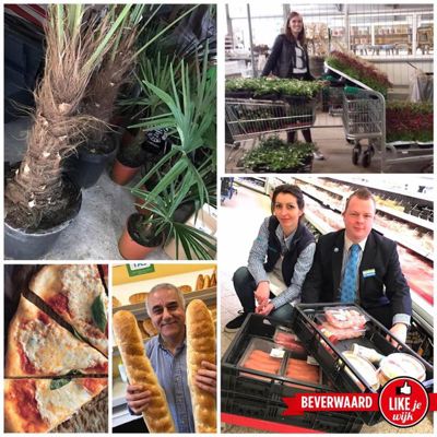 Foto 12 uit LIKEJEWIJK 2017