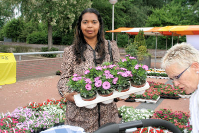 Foto 90 uit OpzoomerenPlantjes