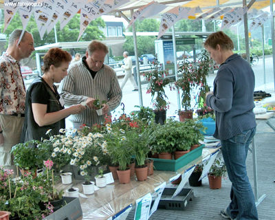 Foto 35 uit wijkfeest de dijk new