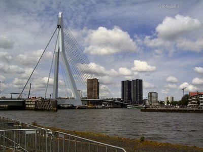 Foto 94 uit red bull air race r.dam