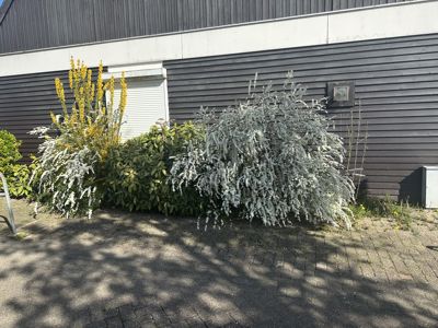 Foto 265 uit Rondje Beverwaard 2026