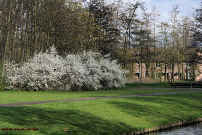 Foto 497 uit StratenBEVERWAARD