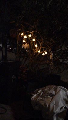 Foto 5 uit Halloween30-10-21