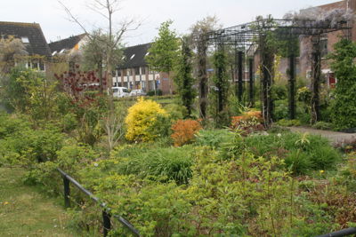 Foto 357 uit TropischeTuin 2017