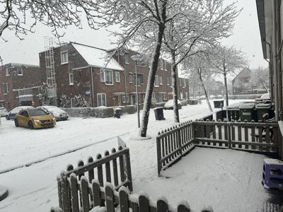 Foto 7 uit X- Sneeuw in de Beverwaard 2026