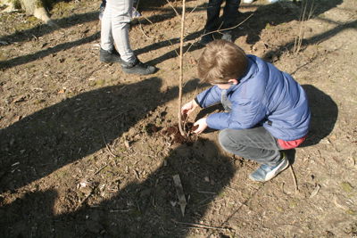 Foto 74 uit Boomplantdag16-3