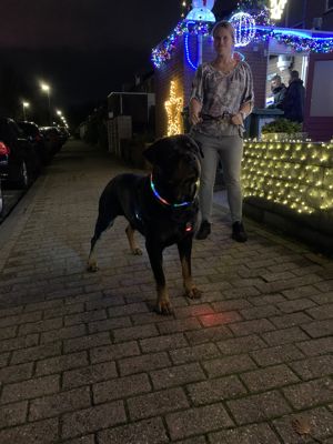 Foto 37 uit Kerst2020Beverwaard