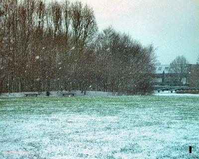 Foto 168 uit WinterIn Beverwaard