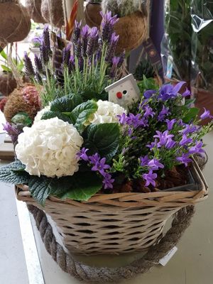 Foto 142 uit NeelyshaBloemen