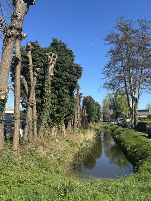 Foto 271 uit Rondje Beverwaard 2026