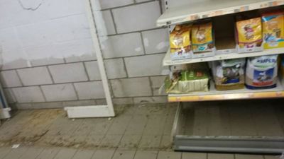 Foto 4 uit Dieren Zaak Catdox