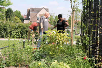 Foto 18 uit Tropische Tuin12_6