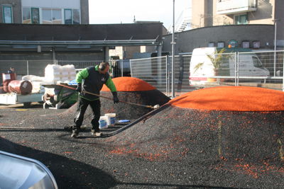 Foto 8 uit GekleurdeBollen12-3