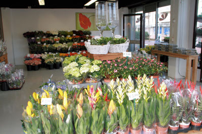 Foto 227 uit WINKELSBeverwaard