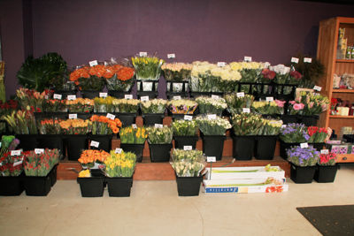 Foto 239 uit WINKELSBeverwaard