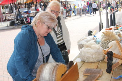 Foto 18 uit Paardenmarkt 2018