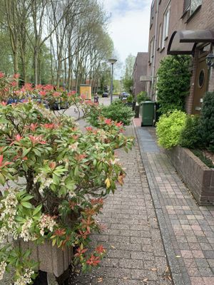Foto 486 uit Rondje Beverwaard 2026