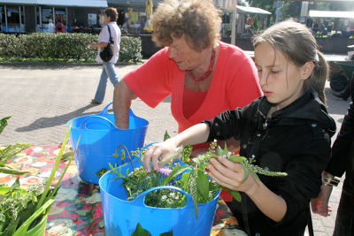 Foto 177 uit Wijkfeest-Braderie